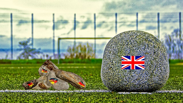 中定位的野 中定位的野