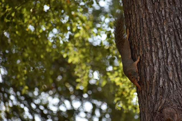 在未来赛季 在未来赛季