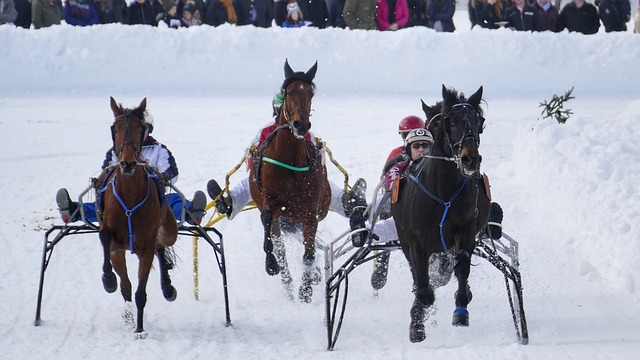 俱乐部介绍 俱乐部介绍