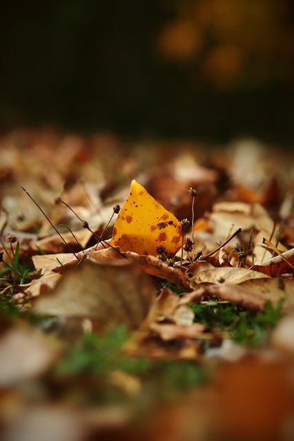 更是俱乐部 更是俱乐部